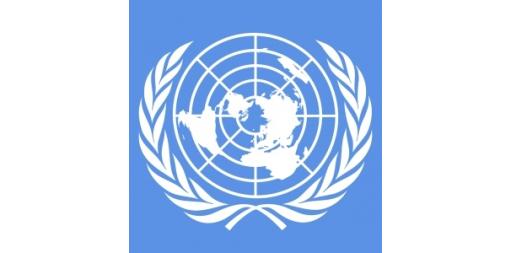 The President of the NSI will participate in the forty-second session of the United Nations Statistical Commission