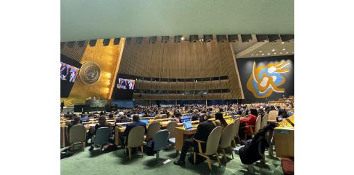 “Better Data. Better Lives.” is the motto of the 55th session of the UN Statistical Commission