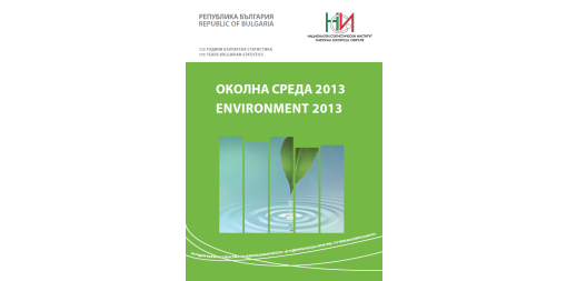 Environment 2013